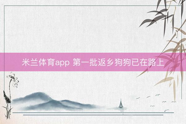 米兰体育app 第一批返乡狗狗已在路上
