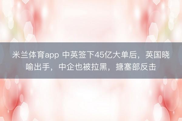 米兰体育app 中英签下45亿大单后，英国晓喻出手，中企也被拉黑，搪塞部反击