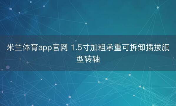 米兰体育app官网 1.5寸加粗承重可拆卸插拔旗型转轴