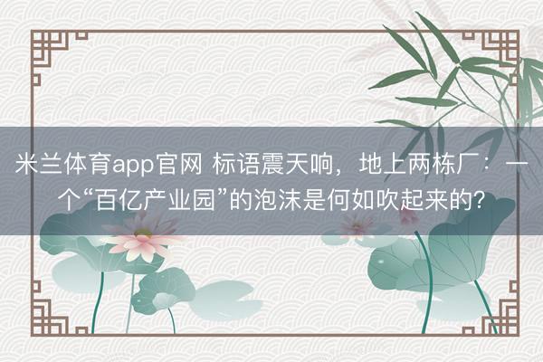 米兰体育app官网 标语震天响,地上两栋厂:一个“百亿产业园”的泡沫是何如吹起来的?