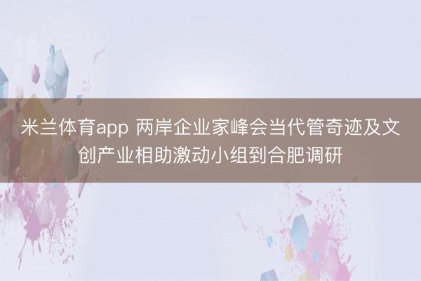 米兰体育app 两岸企业家峰会当代管奇迹及文创产业相助激动小组到合肥调研