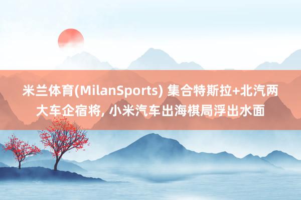 米兰体育(MilanSports) 集合特斯拉+北汽两大车企宿将， 小米汽车出海棋局浮出水面