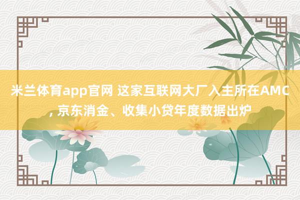 米兰体育app官网 这家互联网大厂入主所在AMC， 京东消金、收集小贷年度数据出炉