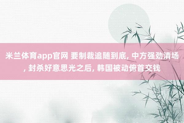 米兰体育app官网 要制裁追随到底， 中方强劲清场， 封杀好意思光之后， 韩国被动俯首交钱