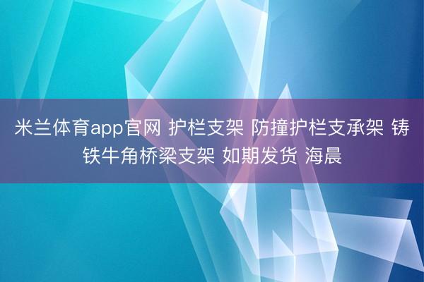 米兰体育app官网 护栏支架 防撞护栏支承架 铸铁牛角桥梁支架 如期发货 海晨