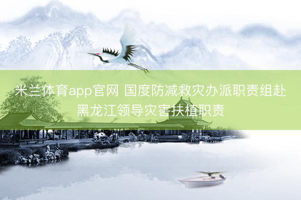 米兰体育app官网 国度防减救灾办派职责组赴黑龙江领导灾害扶植职责